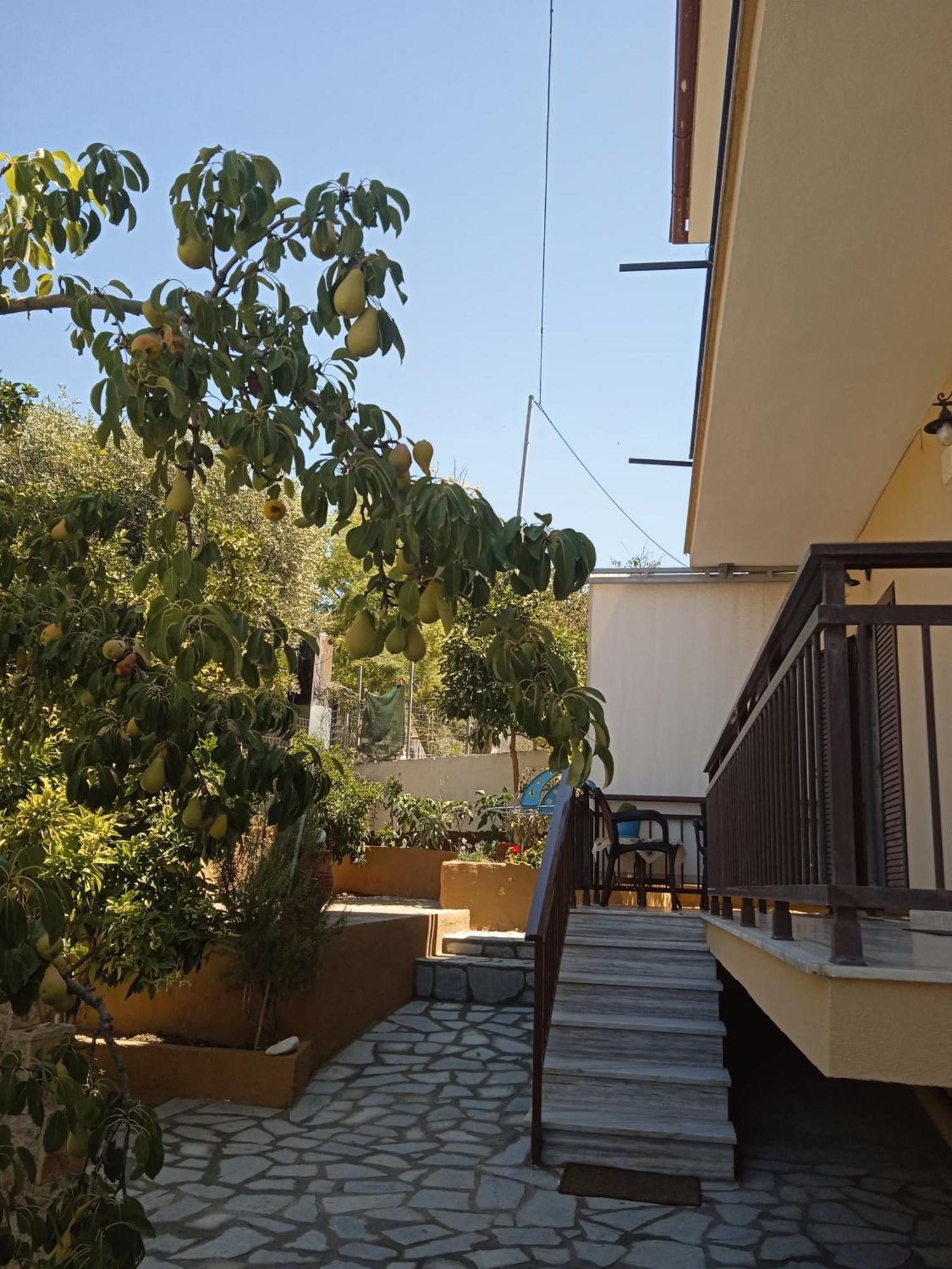 Dimitra'S Garden Apartments Skála Kallirákhis 外观 照片